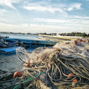 Extracción de la pesca con palangre, arrastre y cerco