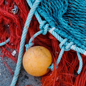 Maniobras de pesca de palangre, arrastre y cerco