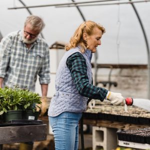 Operaciones auxiliares de riego, abonado y aplicación de tratamientos en cultivos agrícolas.