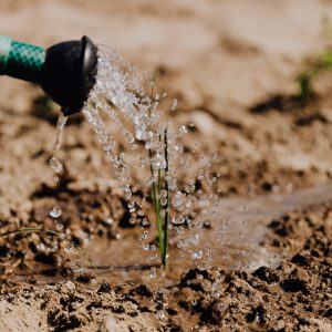 Operaciones auxiliares de riego en cultivos agrícolas