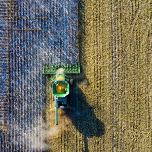 Operaciones culturales en los cultivos y de mantenimiento de instalaciones en explotaciones agrícolas