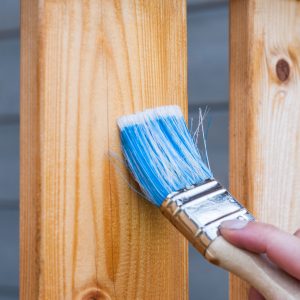 Tintados, acabados especiales y decorativos